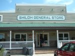 t_shiloh_01.jpg (5874 bytes)